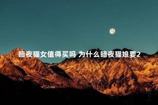 暗夜猫女值得买吗 为什么暗夜猫娘要2888